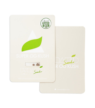 Super OG Kush fem (Pyramid Seeds) семена конопли — изображение 2