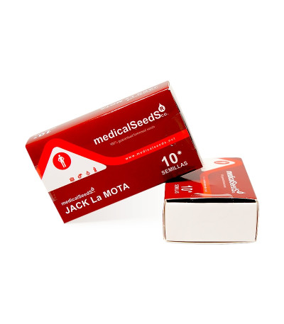 Jack La Mota fem (Medical Seeds) семена конопли — изображение 2