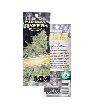 Original Cheese IBL fem (Paradise Seeds) семена конопли — изображение 2