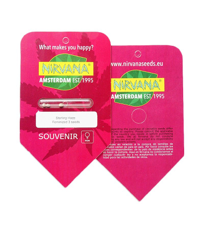 Семена сорта Sterling Haze fem (Nirvana Seeds) — изображение 2