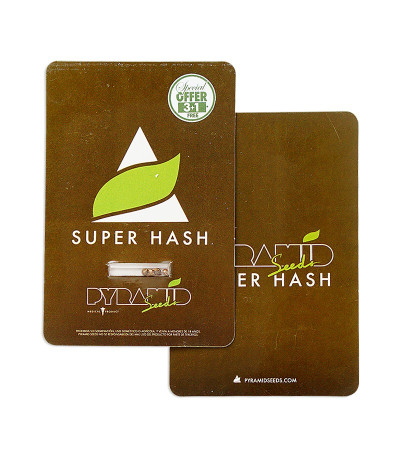 Семена сорта Super Hash fem (Pyramid Seeds) — изображение 2