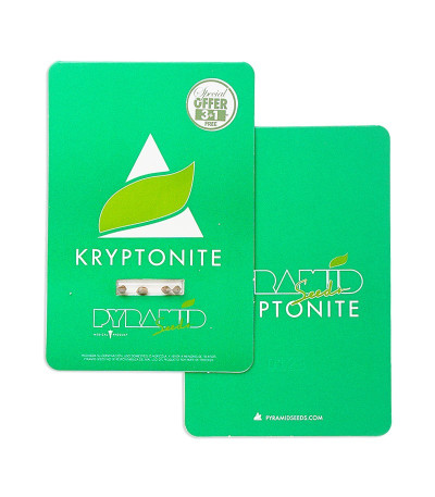 Kryptonite fem (Pyramid Seeds) — изображение 2