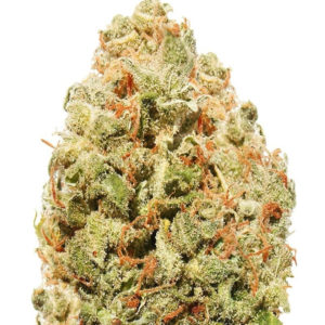 Strawberry Cake fem (Heavyweight Seeds)