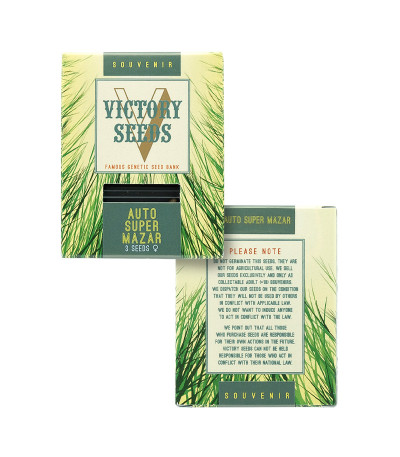 Auto Super Mazar fem (Victory Seeds) — изображение 3
