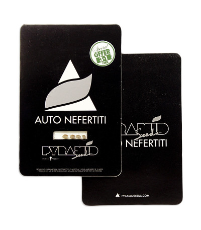Nefertiti fem (Pyramid Seeds) семена конопли — изображение 2