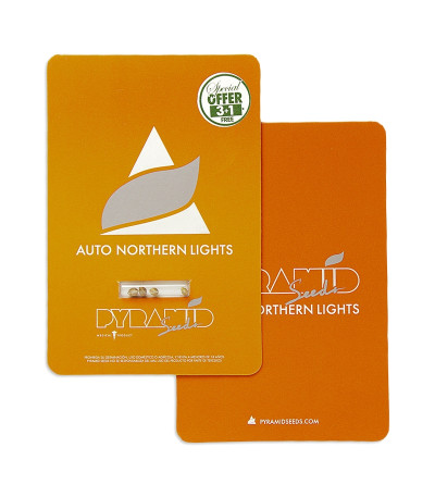 Auto Northern Lights fem (Pyramid Seeds) семена конопли — изображение 2