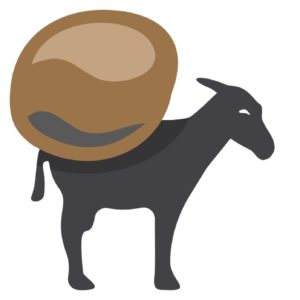 Семена Афганки