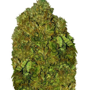 Money Bush fem (Heavyweight Seeds) семена конопли
