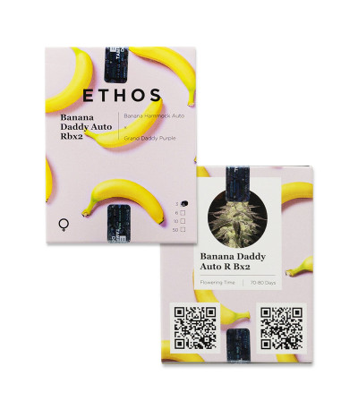 Banana Daddy Auto RBX2 fem (Ethos Genetics) семена конопли