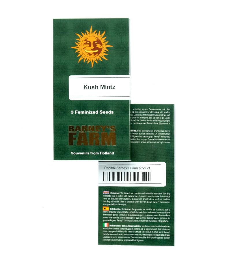 Kush Mintz fem (Barney's Farm) семена конопли — изображение 2