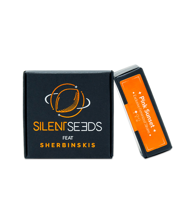 Pink Sunset by Sherbinskis fem (Silent Seeds) семена конопли — изображение 2