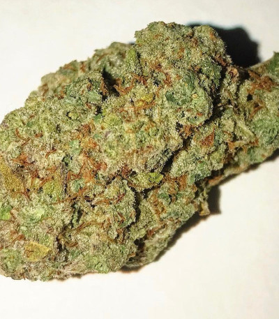 CBD Auto 1:1 (CBD Crack auto) fem (FastBuds) семена конопли — изображение 4