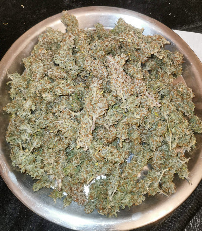 Original Auto Cheese fem (FastBuds) семена конопли — изображение 3