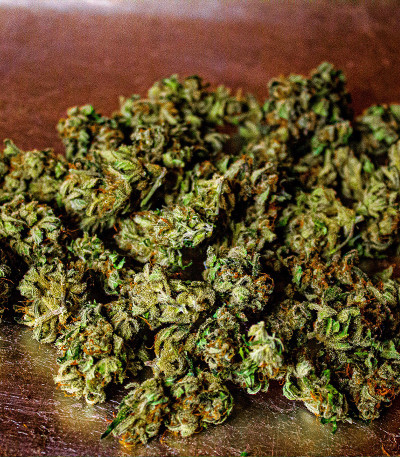 Original Auto Chemdawg fem (FastBuds) семена конопли — изображение 5