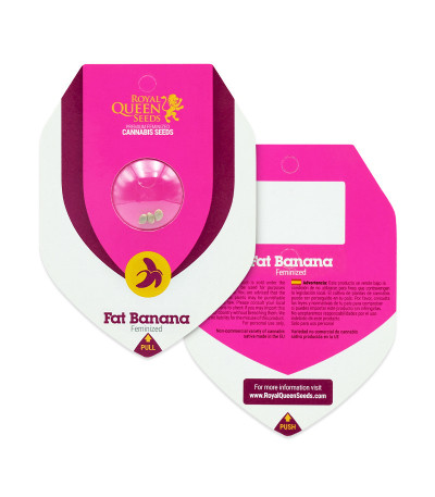 Fat Banana fem (RQS) семена конопли — изображение 2