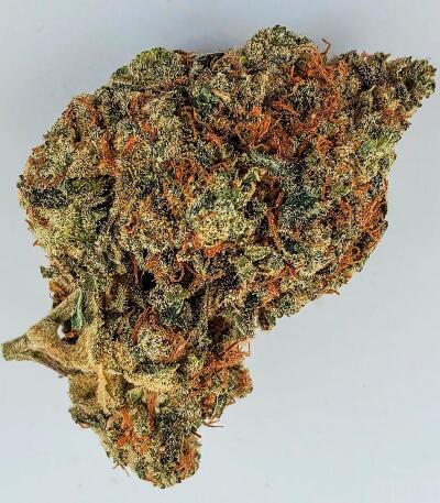 Gorilla 4 Autoflower fem (Easy Grow Seeds) семена конопли — изображение 4